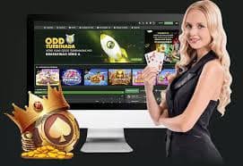 3999btd